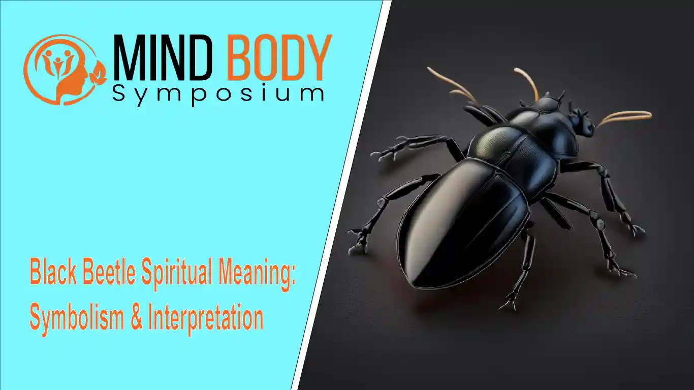 black beetle spiritual meaning