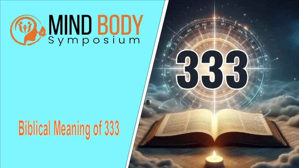 biblical meaning of 333
